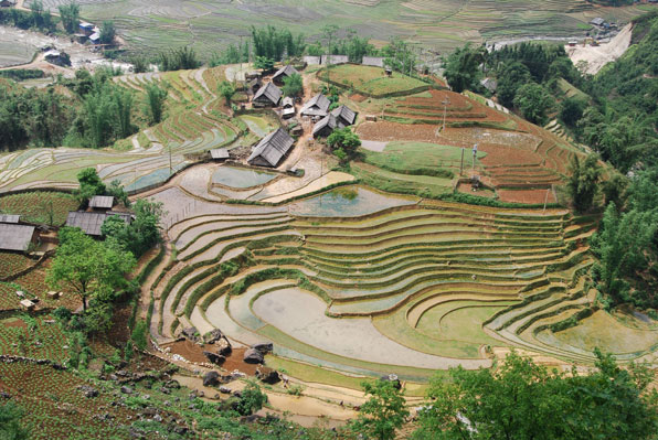 Sapa Village